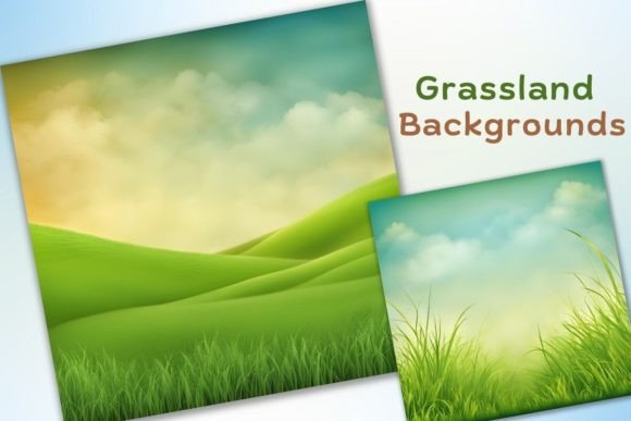 Beautiful Grassland Backgrounds: A Designer's Toolkit for Natural Calm
